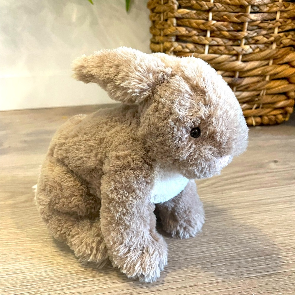 JELLYCAT Riley Bunny Rabbit Soft Plush Toy (Retired). - Picture 1 of 7